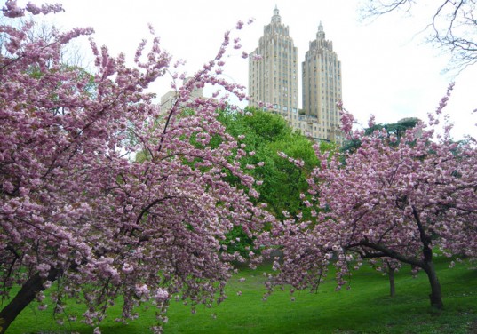 Bracha’s Picks: The Best Parks In NYC