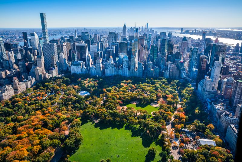 new york city skyline central park autumn foliage aerial view